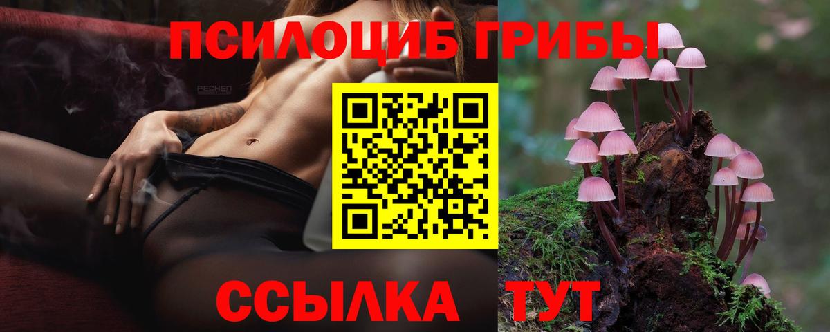 Галлюциногенные грибы GOLDEN TEACHER Ачхой-Мартан